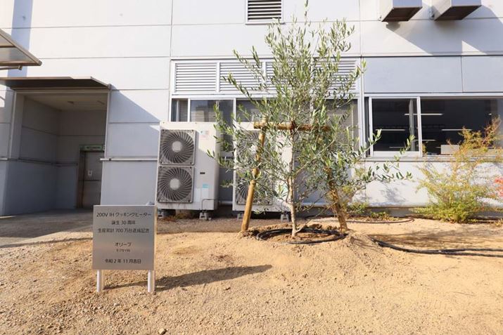 H~nɂЂƐAĂ30NE݌vY700BLOABȂI[uȂ̂͂킩܂