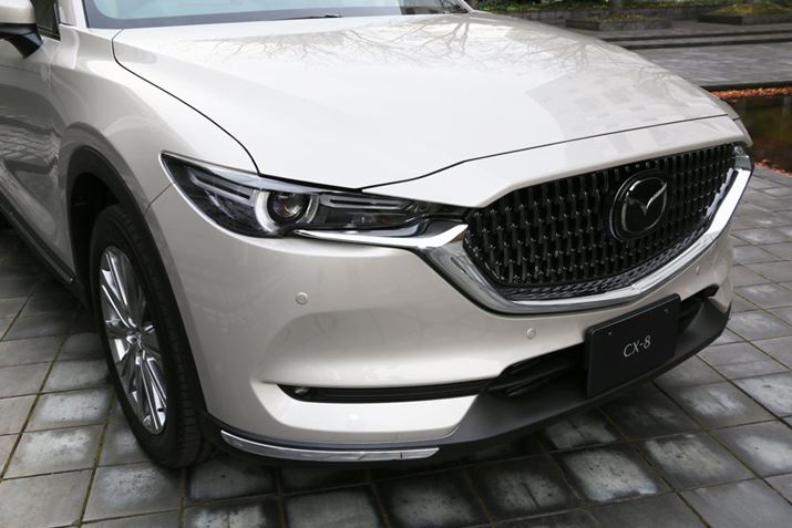 tgOɐVfUC̗pꂽA}c_uCX-8v