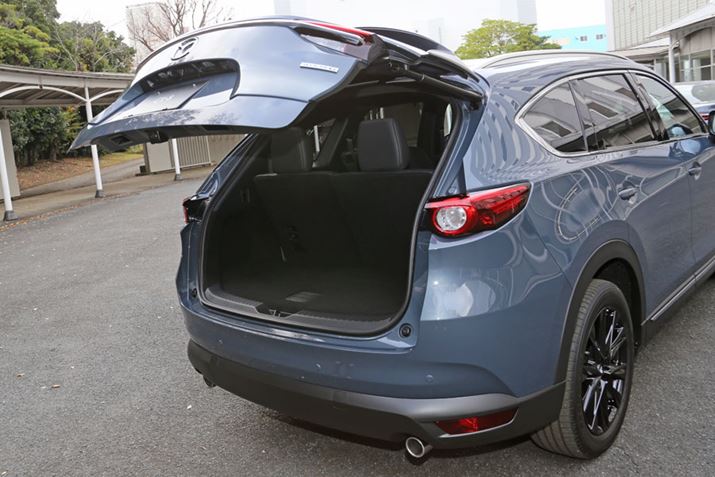 ́uCX-8viǂɂāAVɁunYt[@\tp[tgQ[gv̗pꂽBӊOA}c_nYt[Ή̃p[tgQ[g𔭔̂́A񂪏Ȃ̂