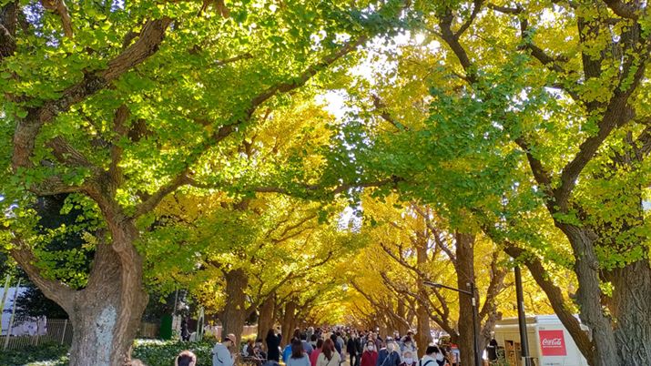 gtXHtCɎBeBf߁At̉𑜊͗ǍD