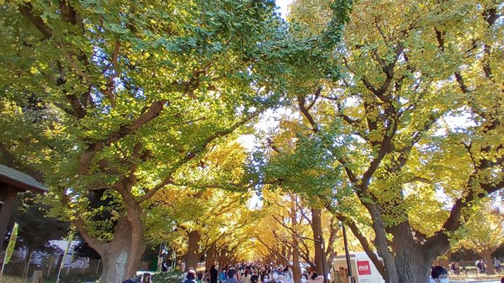 ƓV[LpJɐ؂ւĎBeBt̂߂RgXgቺĂB܂Aӕ̉掿̂ڗ