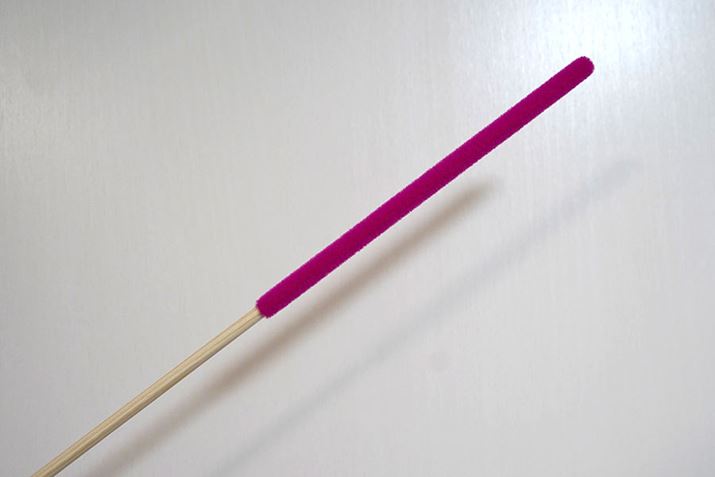 _̐Ƀ||tĂƂAL̂ۂObY