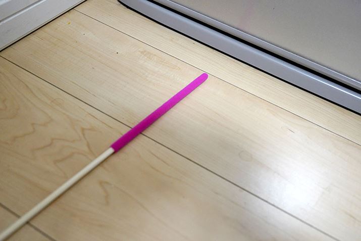 A_݂̌邽߁A①ɂ̉ɂ͓܂ł