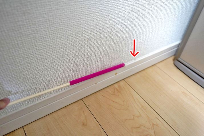 ȊOɁuقڂIvЗ͂𔭊Ăꂽ̂́A؂̏̃zR