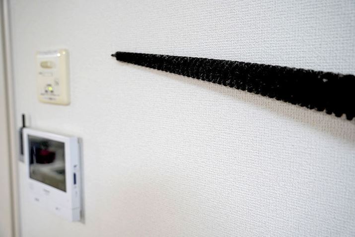 ԈȊOɂAȂӂɕ\ʂʉǎ̃zR𕥂Ƃ̂ɂKĂƂ̂