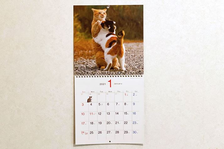 ^Cg̒ʂAɕKɂȂ肷ĂlR̎ʐ^ō\ĂAƏΊɂȂĂ܂܂