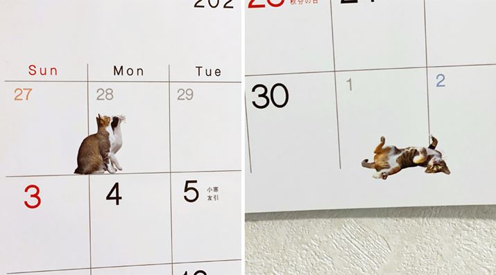 ܂AJ_[̂ƂɕKlRU΂߂ĂA܂킢炵ł