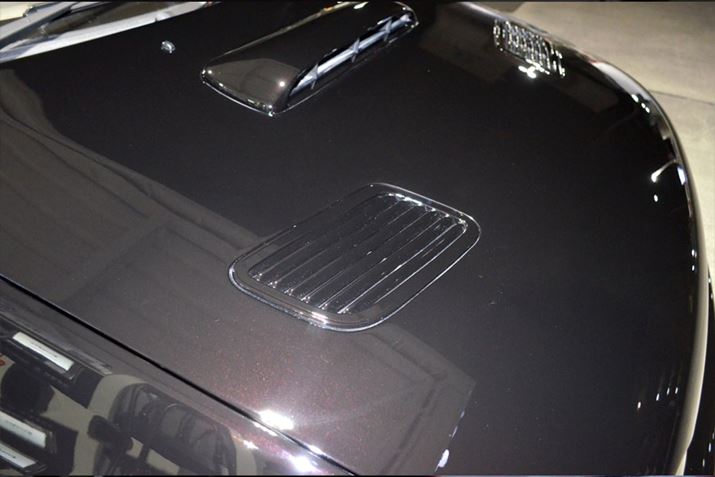 ǂAhʂ̋Pɐ[݂܂BVԂ₻ɋ߂N}̃{fB́Â܂܂ł\ɃLCȂ̂ŁAی삳ł΂Ƃl܂A͂艐ô߂̃P~J͐΂Ɏ{قłB̂ȂÔɐт܂