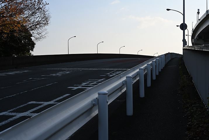 Z 7IIANIKKOR Z 50mm f/1.2 SAF8A1/250bAISO64AWBFRI[gAsN`[Rg[FX^_[hAANeBuD-CeBOFȂABlbgRg[FWAܕ␳FA䂪ݕ␳FAJPEG