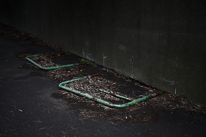 Z 7IIANIKKOR Z 50mm f/1.2 SAF1.2A1/800bAISO64AWBFI[g1AsN`[Rg[FX^_[hAANeBuD-CeBOFȂABlbgRg[FWAܕ␳FA䂪ݕ␳FARAWiCapture NX-DŖ邳𒲐j