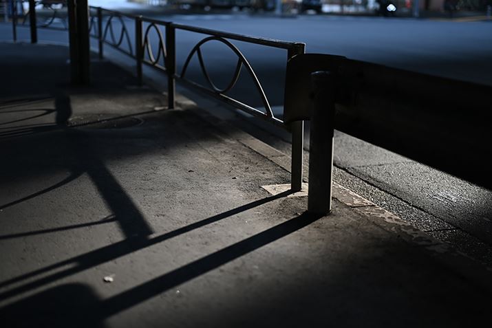 Z 7IIANIKKOR Z 50mm f/1.2 SAF1.2A1/500bAISO64AWBFI[g1AsN`[Rg[FX^_[hAANeBuD-CeBOFȂABlbgRg[FWAܕ␳FA䂪ݕ␳FAJPEG