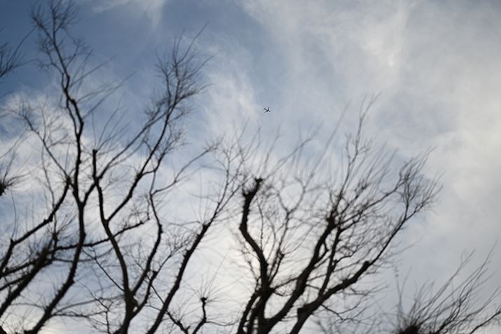 Z 7IIANIKKOR Z 50mm f/1.2 SAF1.4A1/2500bAISO64AWBFI[g1AsN`[Rg[FX^_[hAANeBuD-CeBOFȂABlbgRg[FWAܕ␳FA䂪ݕ␳FAJPEG