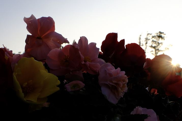 ʐ^Ƃ̏Tɋ͂ĂOōBeB̓Xg{ŎB