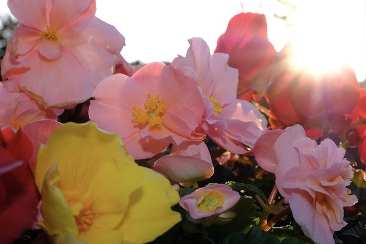 t̉ԂA10ŕяオ点BNbvIŎBe