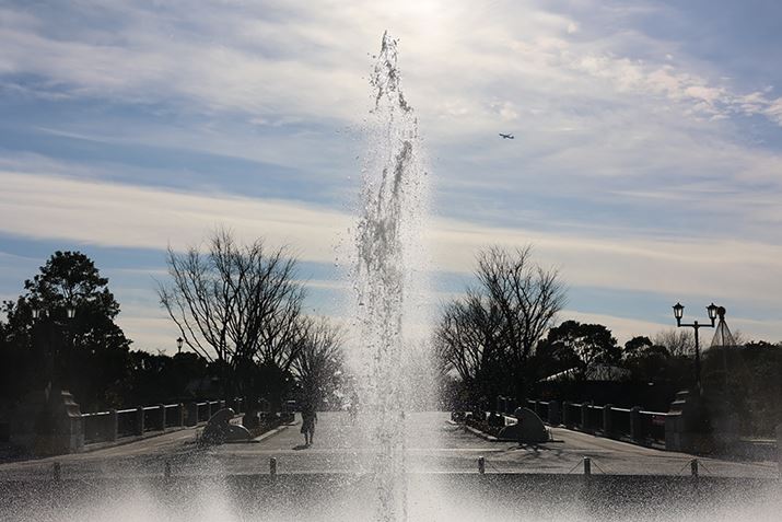 EOS R6ARF50mm F1.8 STMAISO100AF6.3A1/2500bAzCgoXFI[gi͋CDjAsN`[X^CFI[gAI[gCeBOIveB}CUFWAӌʕ␳FAcȎ␳FȂAfW^YIveB}CUFiWjAJPEGBeʐ^i5472×3648A8.7MBj