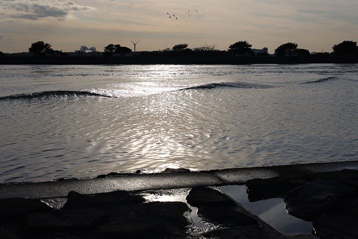 EOS R6ARF50mm F1.8 STMAISO100AF6.3A1/2500bAzCgoXFI[gi͋CDjAsN`[X^CFX^_[hAI[gCeBOIveB}CUFWAӌʕ␳FAcȎ␳FȂAfW^YIveB}CUFiWjAJPEGBeʐ^i5472×3648A7.1MBj