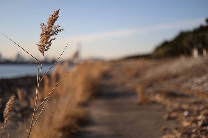 EOS R6ARF50mm F1.8 STMAISO100AF1.8A1/5000bAzCgoXFI[gi͋CDjAsN`[X^CFX^_[hAI[gCeBOIveB}CUFWAӌʕ␳FAcȎ␳FȂAfW^YIveB}CUFiWjAJPEGBeʐ^i5472×3648A5.5MBj