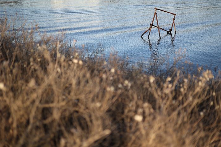 EOS R6ARF50mm F1.8 STMAISO100AF1.8A1/2000bAzCgoXFI[gi͋CDjAsN`[X^CFX^_[hAI[gCeBOIveB}CUFWAӌʕ␳FAcȎ␳FȂAfW^YIveB}CUFiWjAJPEGBeʐ^i5472×3648A9.3MBj