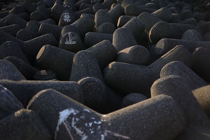 EOS R6ARF50mm F1.8 STMAISO100AF1.8A1/2500bAzCgoXFI[gi͋CDjAsN`[X^CFfBe[dAI[gCeBOIveB}CUFWAӌʕ␳FAcȎ␳FȂAfW^YIveB}CUFiWjAJPEGBeʐ^i5472×3648A9.0MBj