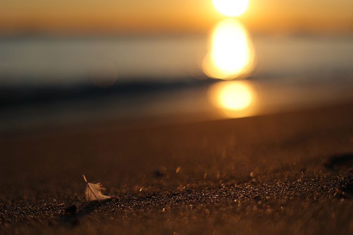 EOS R6ARF50mm F1.8 STMAISO100AF2.2A1/8000bAzCgoXFI[gi͋CDjAsN`[X^CFX^_[hAI[gCeBOIveB}CUFWAӌʕ␳FAcȎ␳FȂAfW^YIveB}CUFiWjAJPEGBeʐ^i5472×3648A4.4MBj