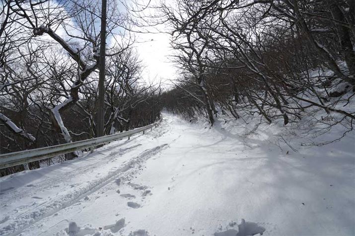 ~ʂGAł́ArI₷HʂƂĂA˔@ƂĐϐʂHʂɑ邱Ƃ͂悭܂Bق̃N}Ղ̂ȂHʂɏo킵vӂł