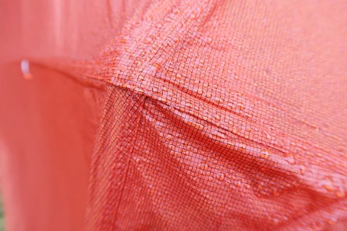 tCV[g̕\ʁBn̖Dڂ͖hĂA܂ŐZ邱Ƃ͂Ȃ