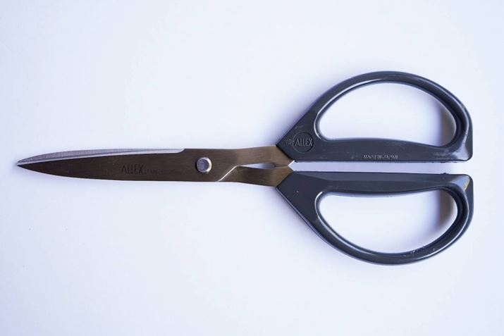 ꌩA̕ϓNȂnT~łA1xgȂ؂ꖡł