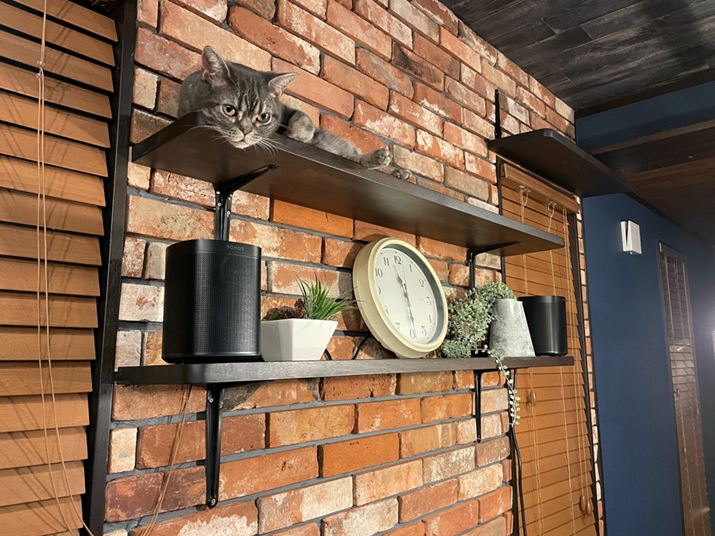 Xs[J[ݒupɓiɂĂLbgEH[NɁuSonos OnevuSonos One SLvݒu