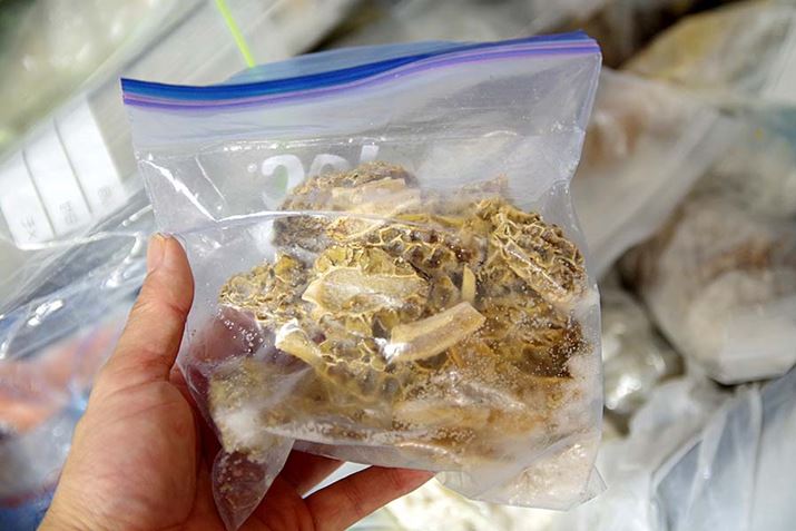 ZԂ̗①ⓀȂt[U[obOł̂łAۑƗ򉻂Ă܂܂