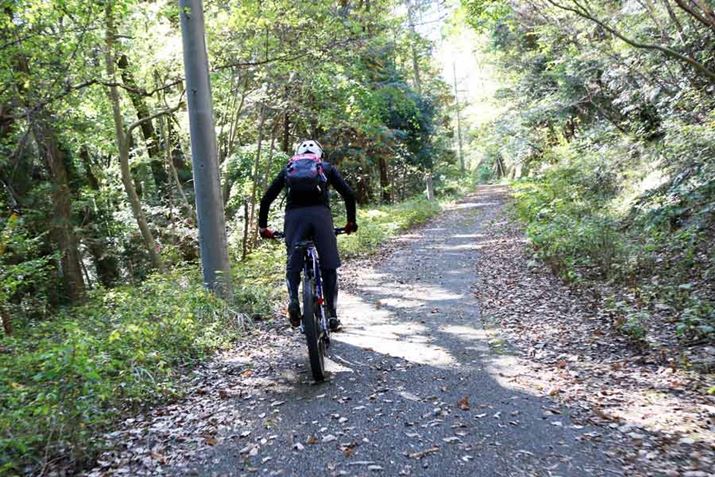 ړIn܂ł͓o₪BdAVXg@\ڂꂽYPJ-MT ProȂA@̌ŃXXƓoĂB́AǂM҂͓dAVXg@\̂Ȃʂ̃}EeoCN肷̂AłɁAǂ