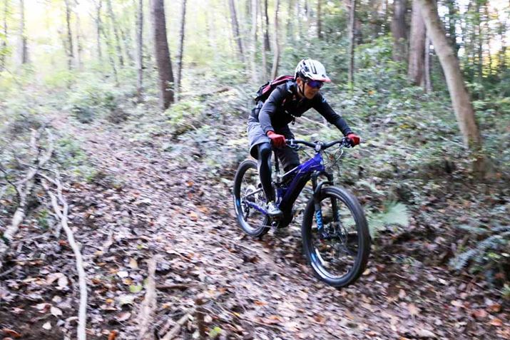 Ȃ̋}X΂Ă݂ĂAԑ͈̂肵Ă