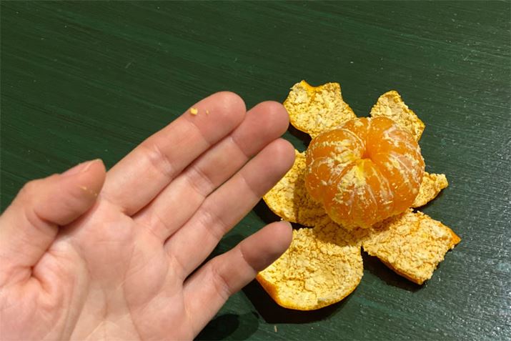 Ă邩炩Av܂łA܂FȂXWtĂ肵܂