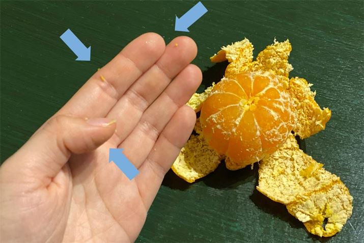 ĂȂ̂ŋ킵܂ccʐ^ł͓`ɂłAew̒܂̒ɂXW肱ł܂