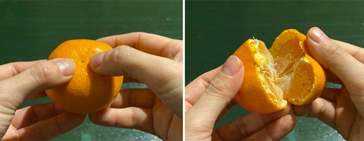 킵Ɗ܂BÂ炢Ƃ͒܂ŌyKChCƂ