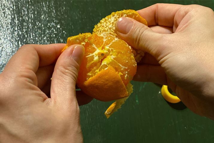 Ō͓łނ܂BmɁA؂ڂꂽقނ₷I