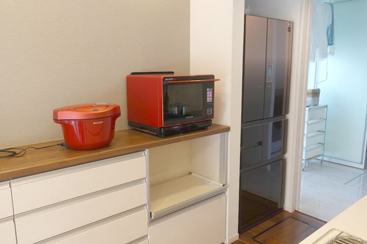 EɉfĂ̂AV[ṽvY}NX^[ڗ①ɁBOɉfĂ钲ƓdAg邱Ƃ\ŁÂقɓ`󊮗m点@\