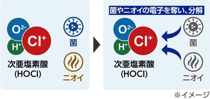 f_ɂ鏜ۂƂ́Af_܂܂Cl+ۂjICdqDAĂ̓}Ƃ́BʓIɎf_́AۂȂǂ̕\włȂA܂ŐZđfp邽߁AjICȂǂ̕Xs[hAۗ͂ɂĂ邻ł