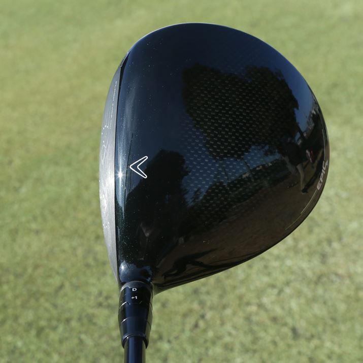 NEɊۂ݂ALEFCƓ̃wbhBgDɏ{[miV`ŁA֊s͎RȊۂ݂Ŕł