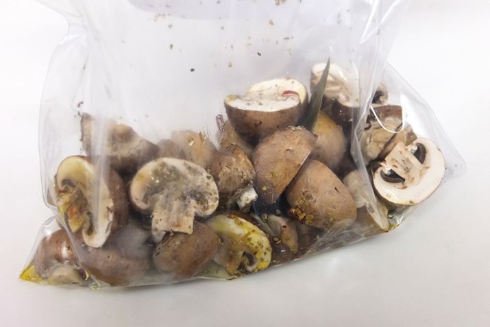 u}bV[̃Aq[Wv́At[U[obOɔɃJbg}bV[AjjNA̒܁AI[uICAAIKmA[GȂǂAォ悭ݍłȂ܂܂