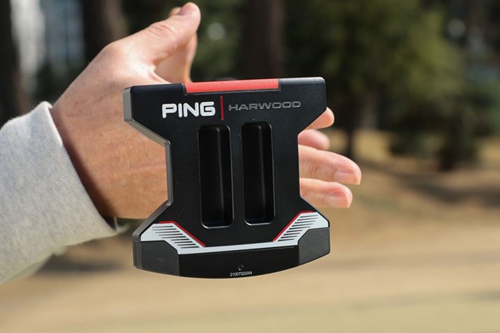 ̓Z~A[N^Cvɕނ̂łAX͂ق̂킸B[ĝŎGɑłĂuɂł