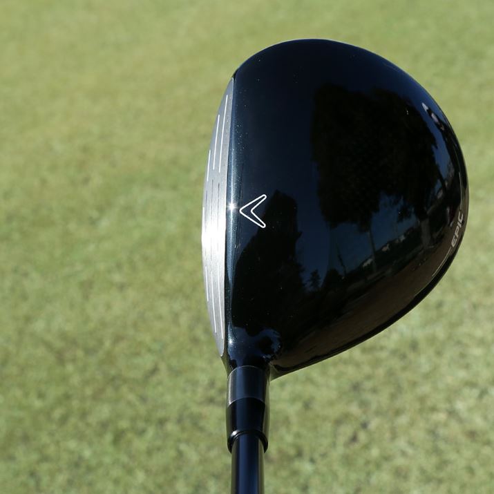 #3̃wbh̐ς173ccŁAAX[gfƂĂ͂ʓIȃTCY