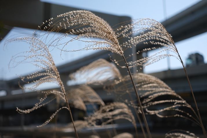 X-E4AXF27mmF2.8 R WRA27mmi35mmZ41mmjAISO160AF2.8A1/4000bAzCgoXFI[gAtBV~[VFPROVIA/X^_[hA_Ci~bNWF100AJPEGBeʐ^i6240×4160A11.2MBj