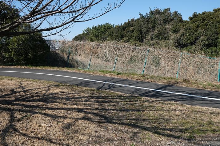 X-E4AXC15-45mmF3.5-5.6 OIS PZA22mmi35mmZ33mmjAISO160AF8A1/320bAzCgoXFI[gAtBV~[VFPROVIA/X^_[hA_Ci~bNWF100AJPEGBeʐ^i6240×4160A11.2MBj