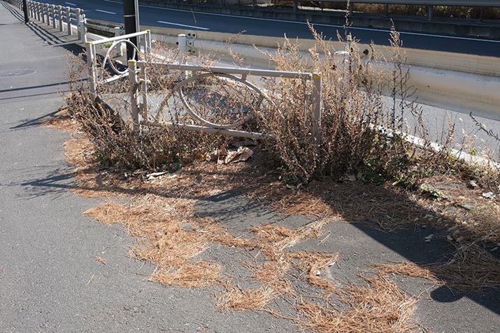 X-E4AXF27mmF2.8 R WRA27mmi35mmZ41mmjAISO160AF8A1/150bAzCgoXFI[gAtBV~[VFPROVIA/X^_[hA_Ci~bNWF100AJPEGBeʐ^i6240×4160A11.2MBj