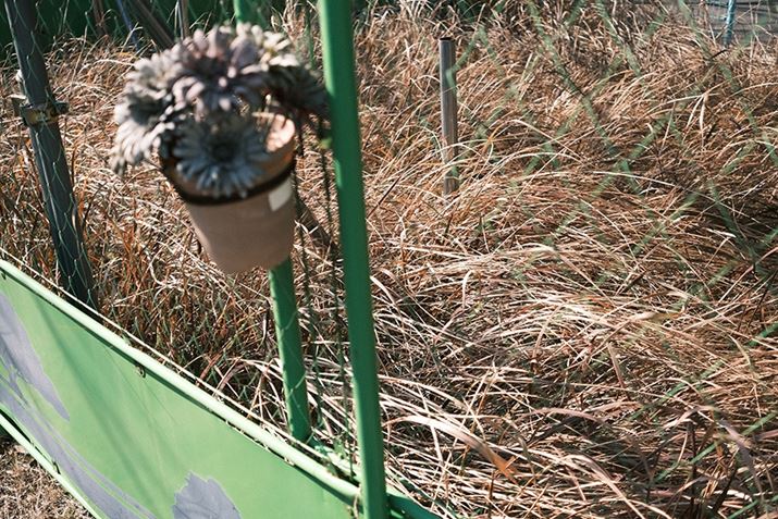 X-E4AXF27mmF2.8 R WRA27mmi35mmZ41mmjAISO160AF2.8A1/1100bAzCgoXFI[gAtBV~[VFNVbNlKA_Ci~bNWF100AOCEGtFNgFx-^x-AJPEGBeʐ^i6240×4160A11.2MBj