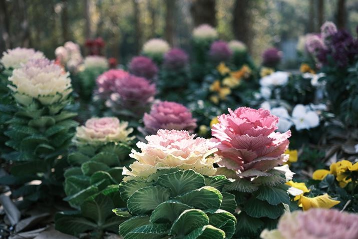 X-E4AXF27mmF2.8 R WRA27mmi35mmZ41mmjAISO160AF2.8A1/500bAzCgoXFAtBV~[VFNVbNlKA_Ci~bNWF100AOCEGtFNgFx-^x-AJPEGBeʐ^i6240×4160A11.2MBj