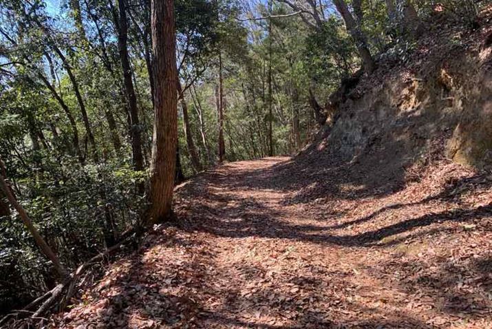 {f́Agbvx̃gCi[̂߂ɊJꂽV[YAlIɂ͂Ȋ̂₩ȃAbv_ÊR[XÃy[XŒԑĂ݂Ǝv킹V[Y