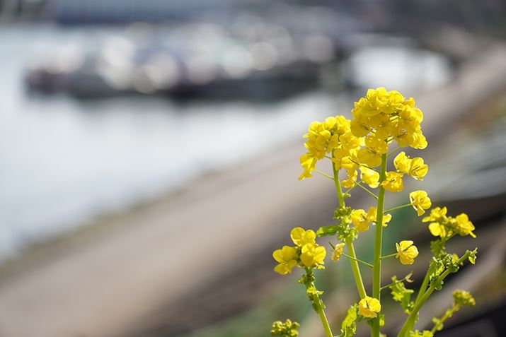 6400A17-70mm F/2.8 Di III-A VC RXDA70mmi35mmZ105mmjAF2.8A1/1000bAISO100AzCgoXFI[gANGCeBuX^CFX^_[hADWIveB}CU[FI[gAcȎ␳FI[gA{F␳FI[gAӌ␳FI[gAJPEGBeʐ^i6000×4000A10.3MBj