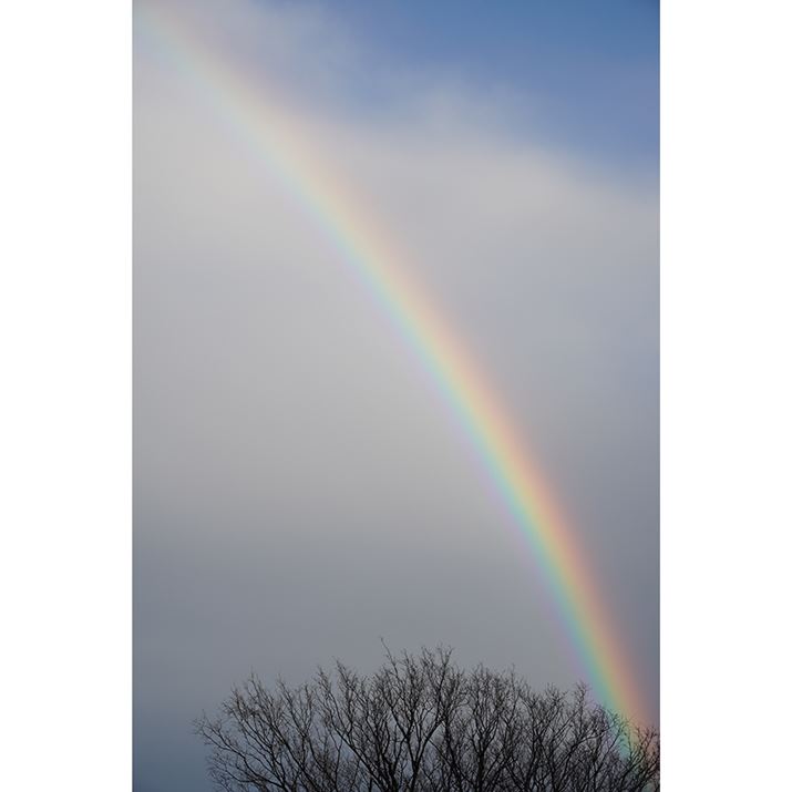 6400A17-70mm F/2.8 Di III-A VC RXDA59mmi35mmZ88mmjAF8A1/200bAISO100AzCgoXFI[gANGCeBuX^CFX^_[hADWIveB}CU[FI[gAcȎ␳FI[gA{F␳FI[gAӌ␳FI[gAJPEGBeʐ^i4000×6000A11.0MBj