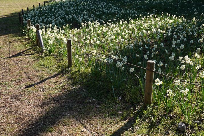 6400A17-70mm F/2.8 Di III-A VC RXDA25mmi35mmZ37mmjAF6.3A1/160bAISO100AzCgoXFI[gANGCeBuX^CFX^_[hADWIveB}CU[FI[gAcȎ␳FI[gA{F␳FI[gAӌ␳FI[gAJPEGBeʐ^i6000×4000A19.6MBj